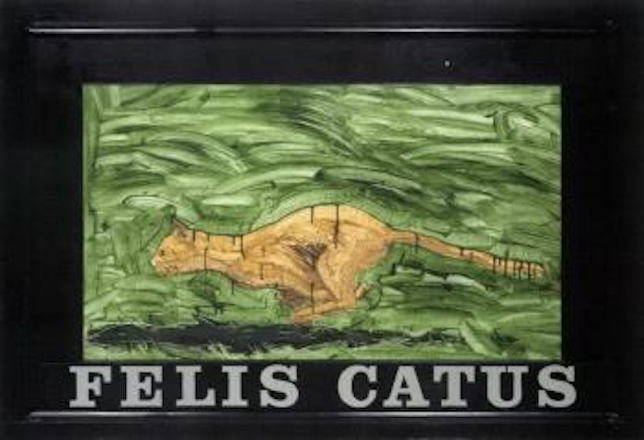 Felis catus by Neil Jenney