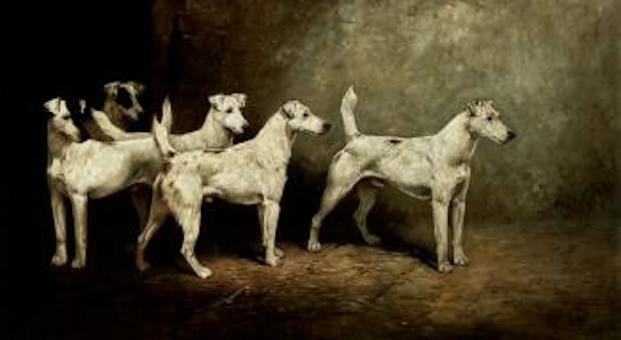 Waiting for master by John Emms
