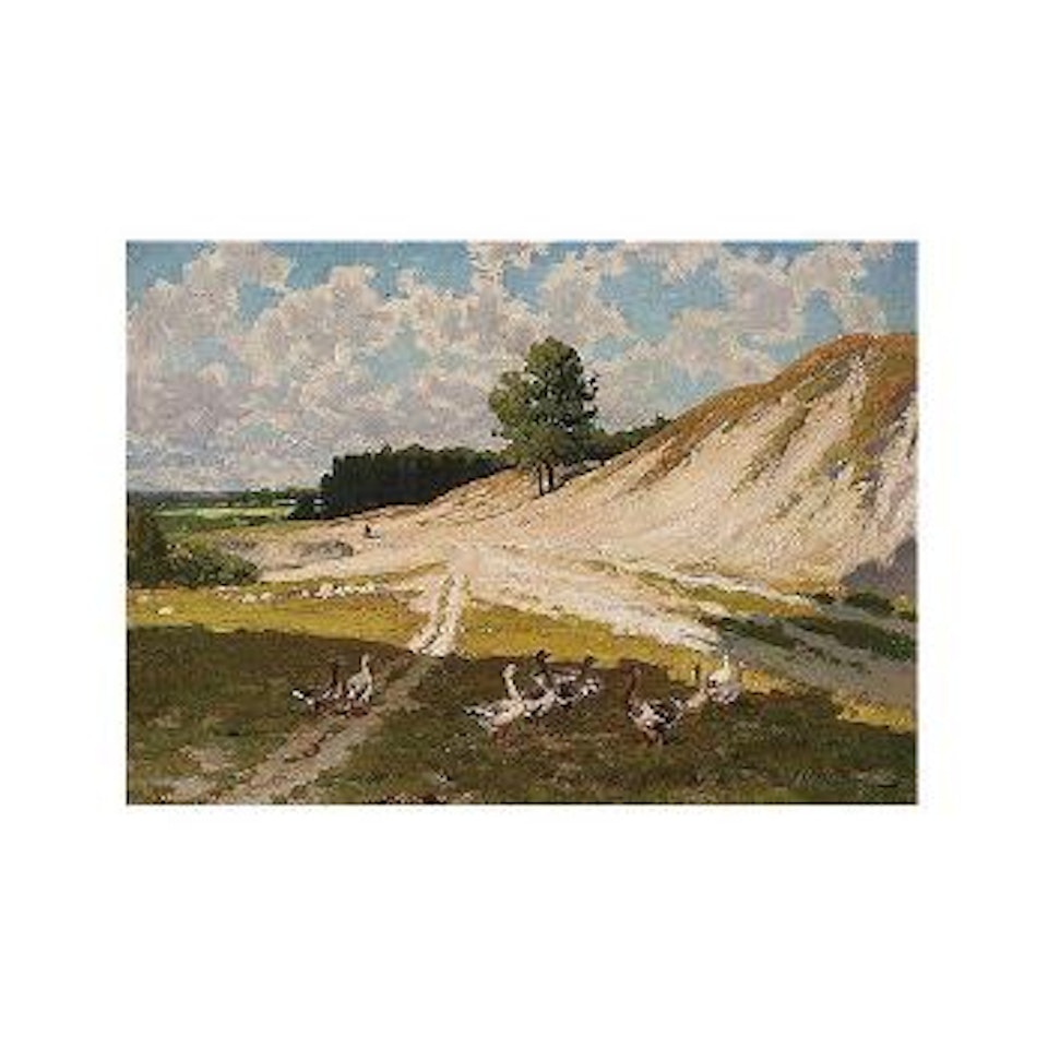 Gaggle of geese by Alexander W. Makowski