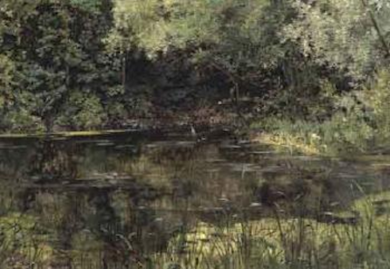 River in the woods by Leon Tanzi