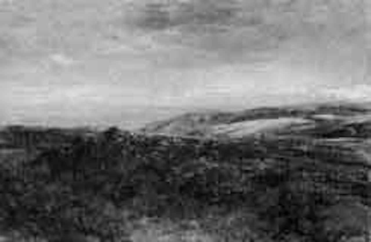 Exmoor ponies by Heywood Hardy