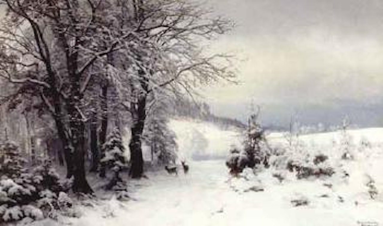 Newly fallen snow, Muhlthal near Munich by Anders Andersen-Lundby