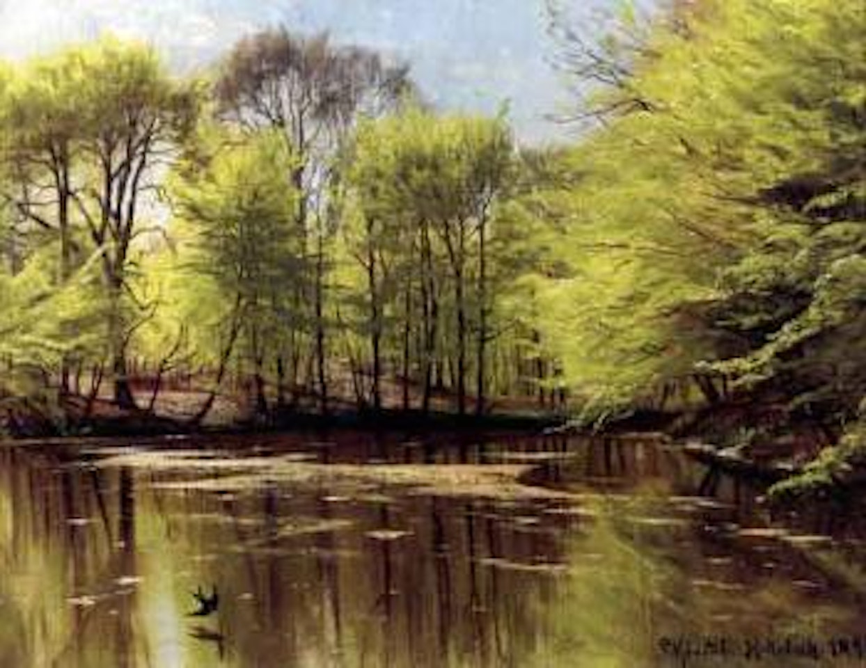 Spring beeches by woodland lake by Peder Mork Monsted