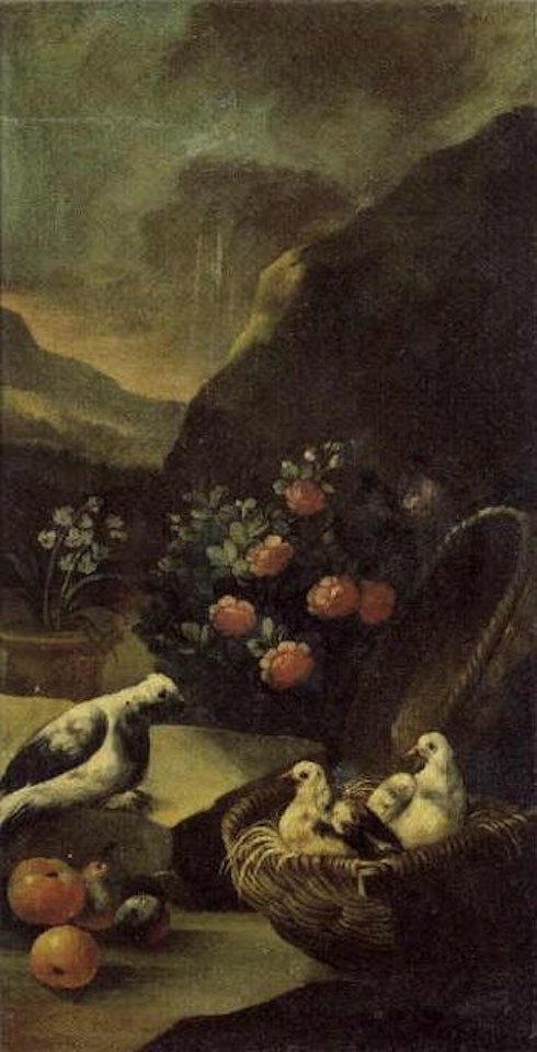 Dove, vegetables, fruit and flowers. Cock, hen and fruit by Italian School