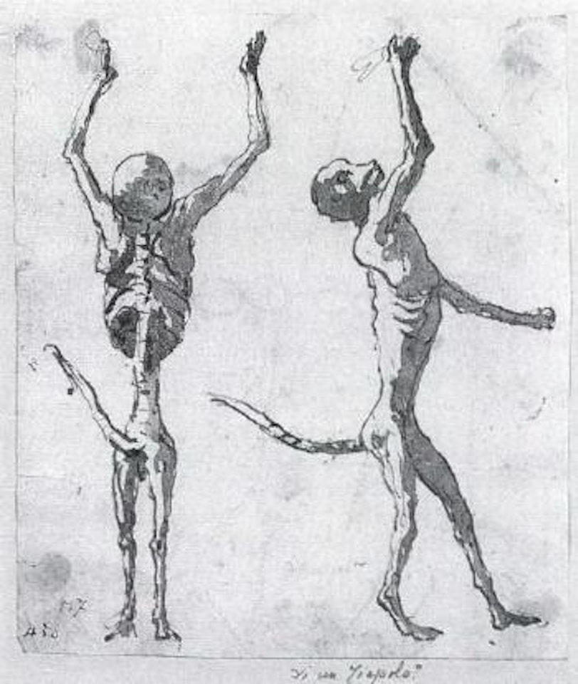 Two studies of monkeys and monkey skeletons by Giovanni Domenico Tiepolo
