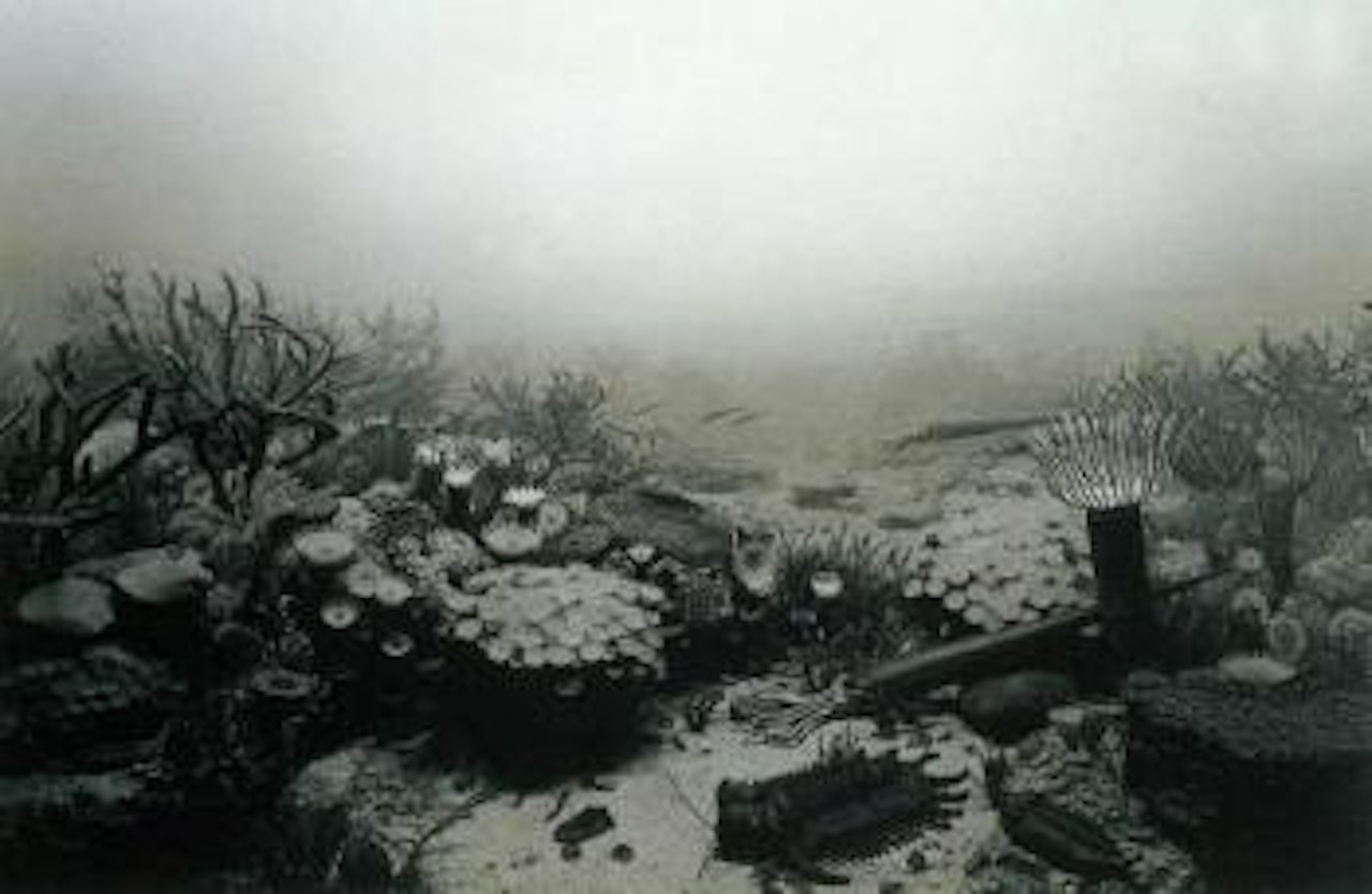 Devonian period. Permian period. Silurian period. Ordovician period by Hiroshi Sugimoto