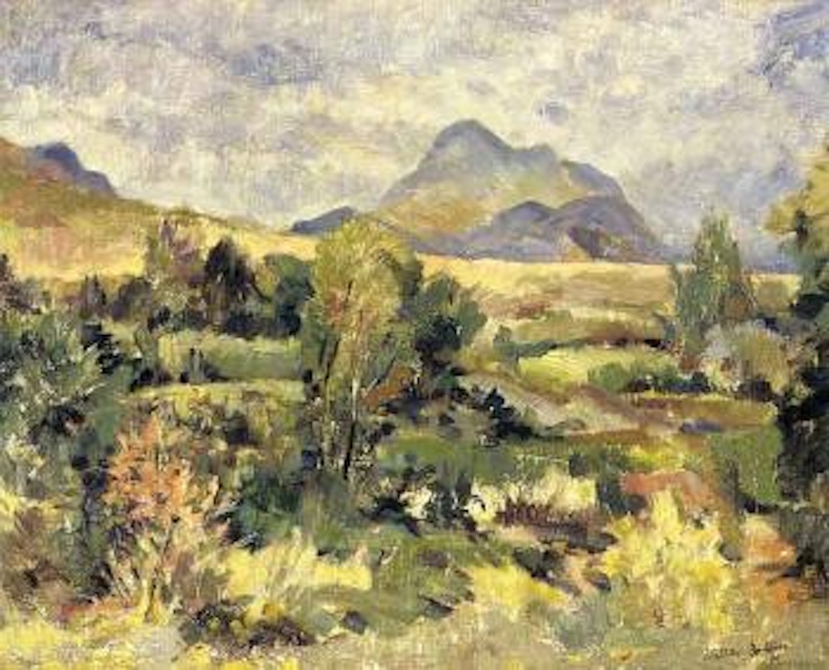Extensive landscape by Walter Battiss