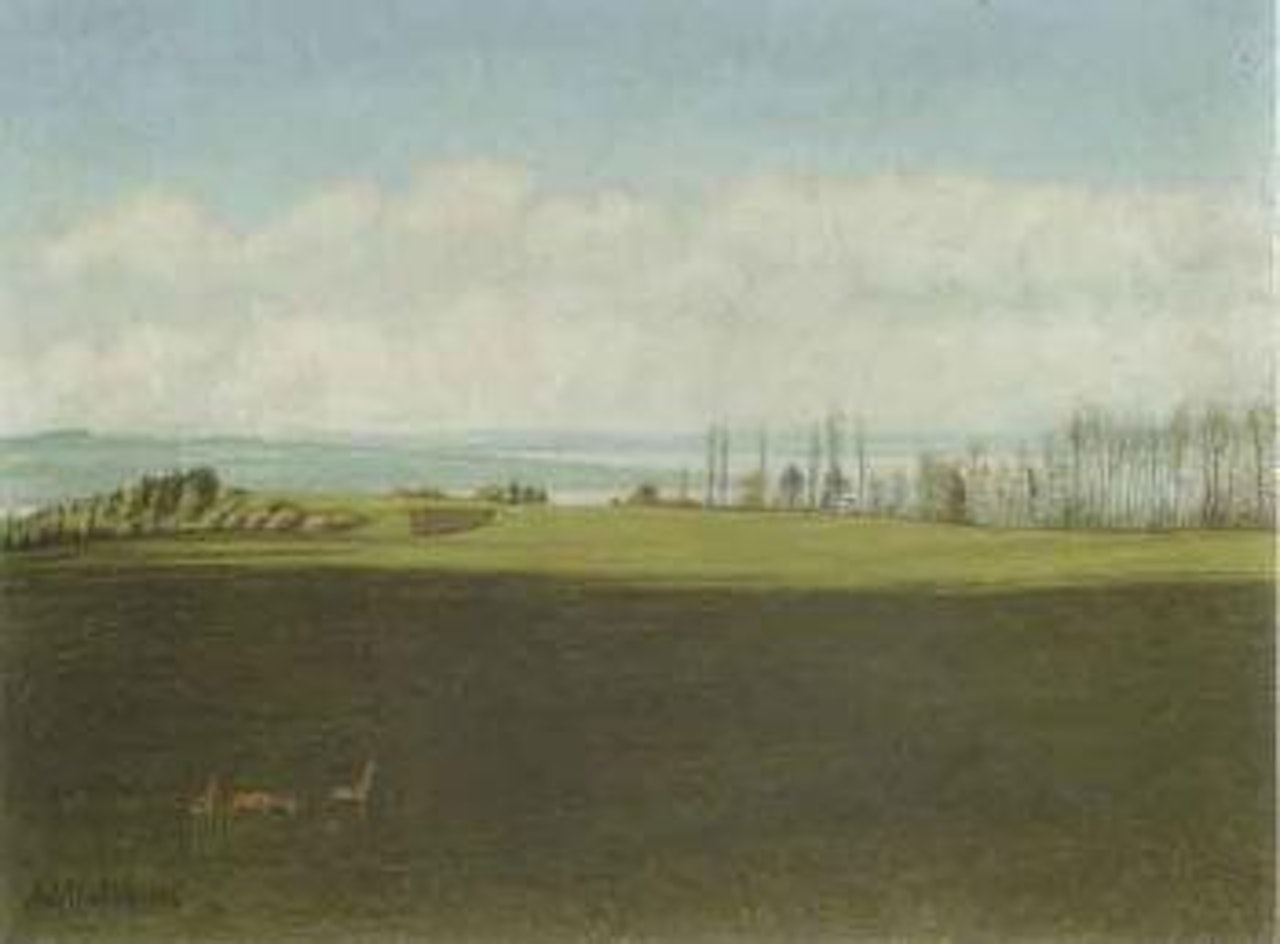 Extensive landscape by Adolf Dietrich