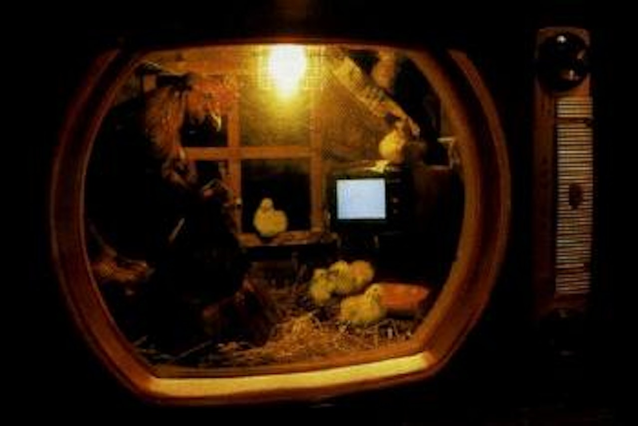 Chicken TV by Nam June Paik