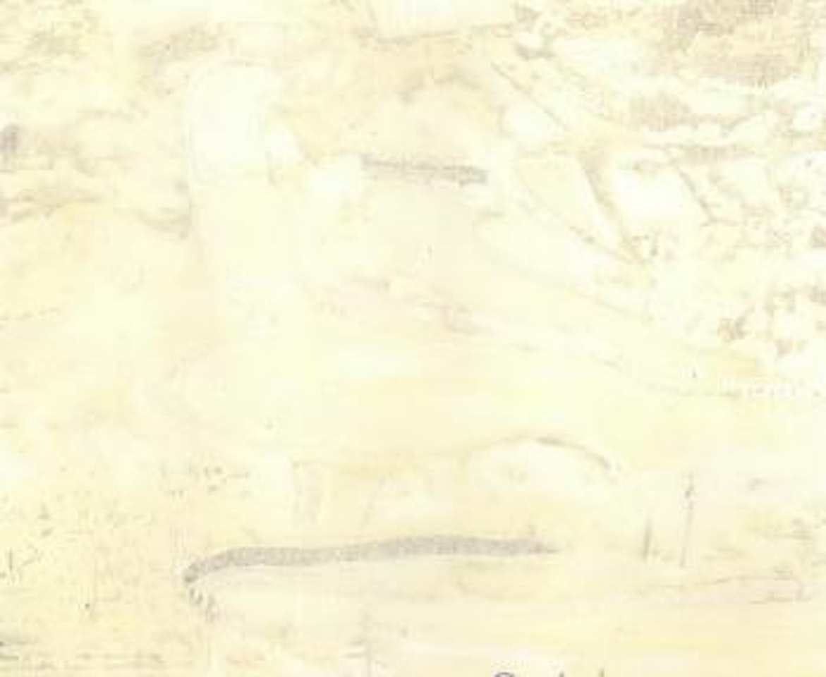 Downhill by Peter Doig