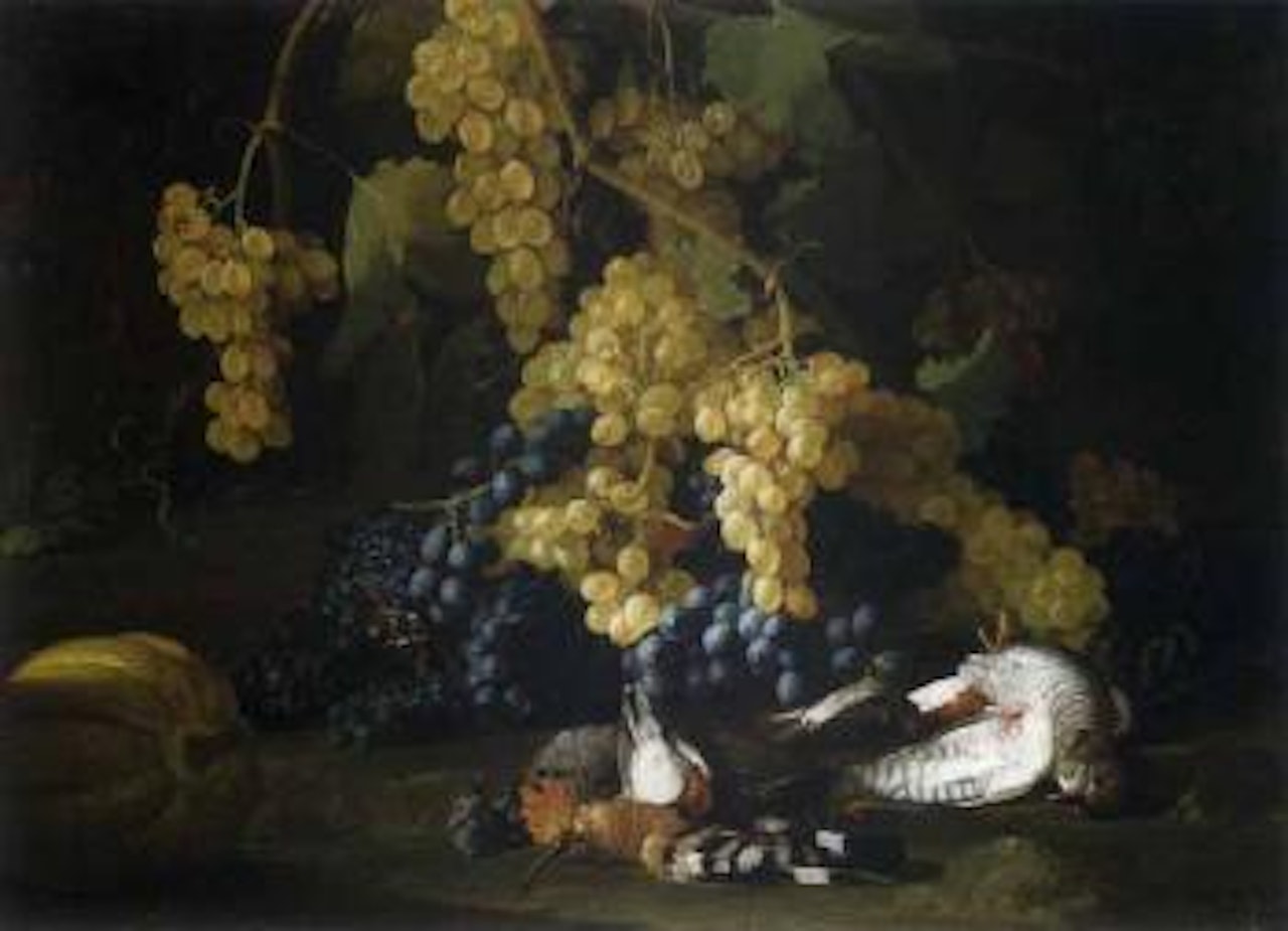 Still life of red and white grapes, with a hoopoe, pigeon and other birds by Franz Werner von Tamm