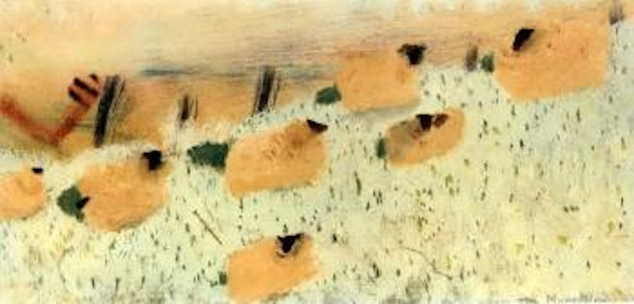 Sheep in the frost by Mary Newcomb