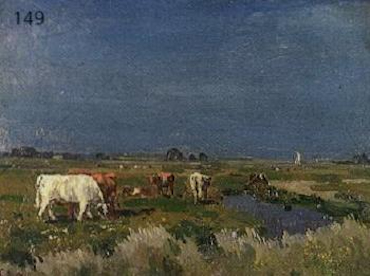 June morning by Campbell Mellon