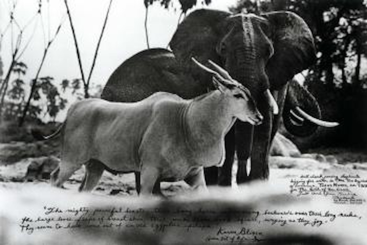 Bull eland passing elephants digging for water in the river at Kathanula, Tsavo North by Peter Beard