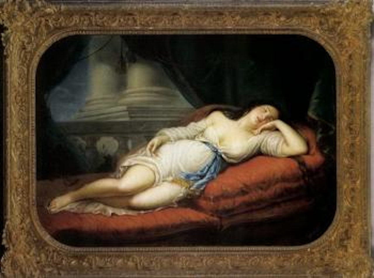 Sleeping beauty by Continental School