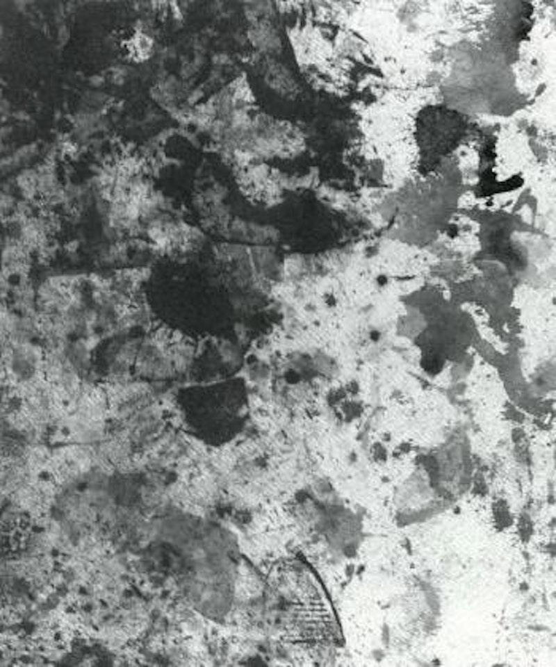 Wiener secession by Hermann Nitsch