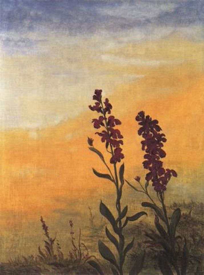 Wild flowers by Franz Radziwill