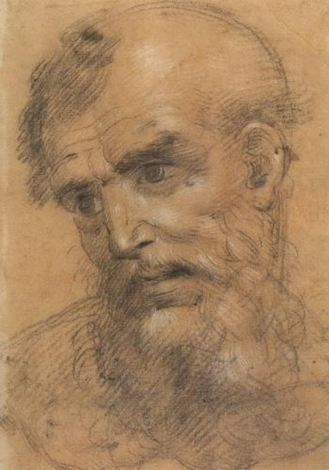 Head of a bearded man. Study for Madonna and Child with saints by Giovanni Antonio Sogliari