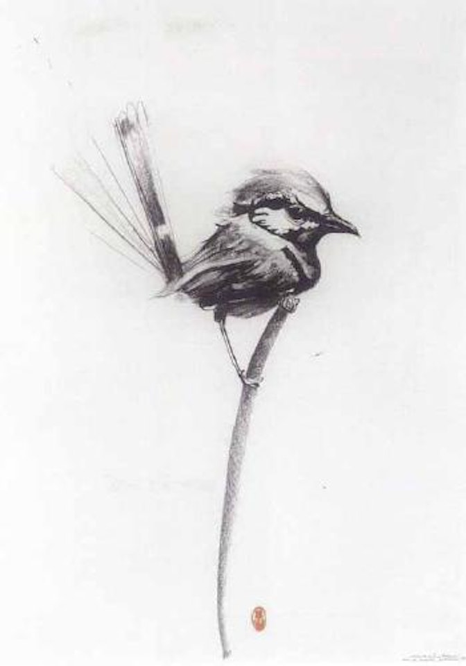 Wren on a fine branch by Brett Whiteley