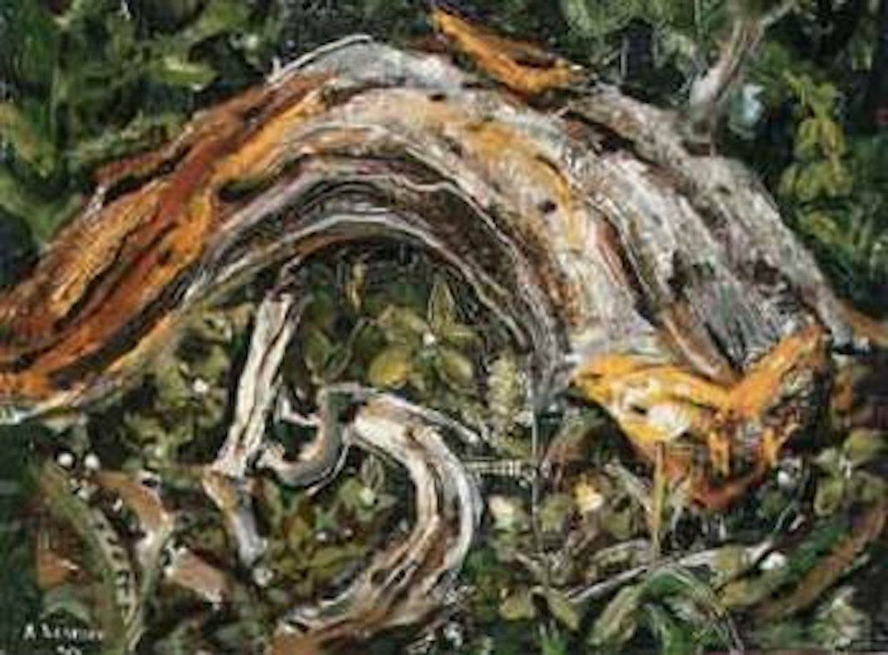 Old log by Arthur Lismer