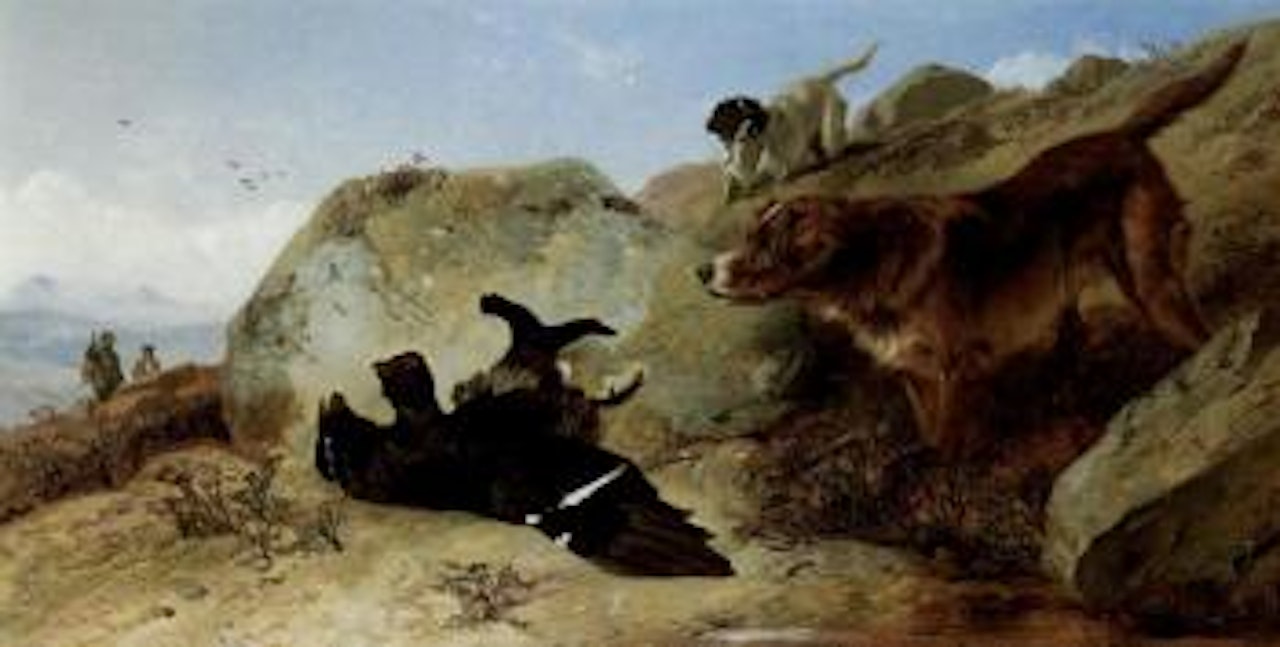 Gun dogs and blackgame by Richard Ansdell