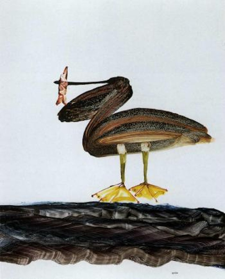 Pelican by Sidney Nolan