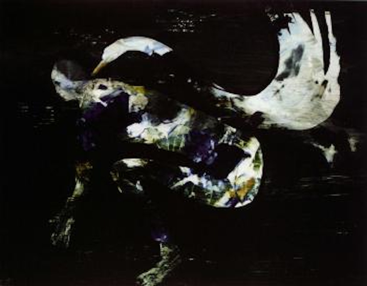 Leda and the swan by Sidney Nolan