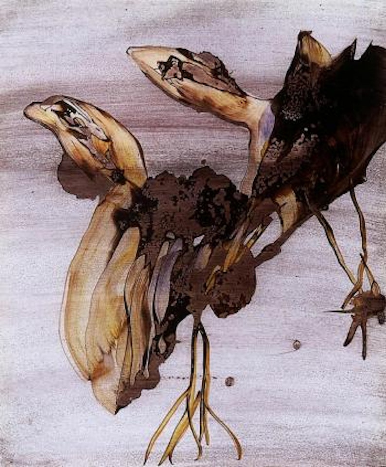 Surreal birds by Sidney Nolan