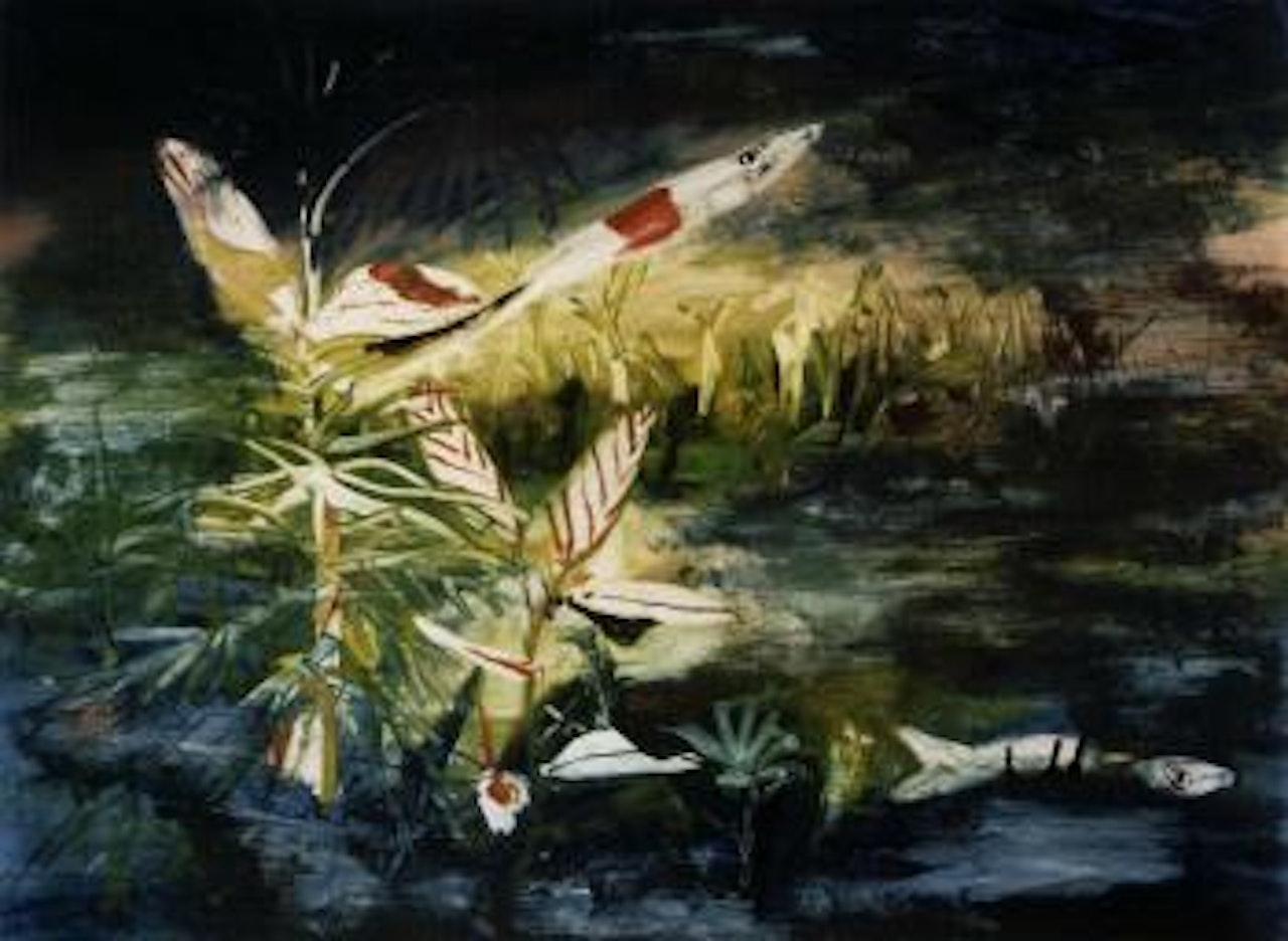 Fishes by Sidney Nolan