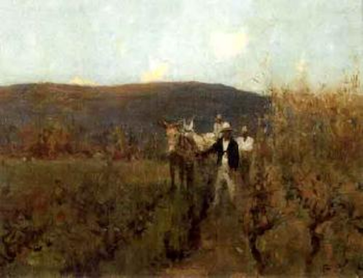 Ploughing vines by Sir Frank Brangwyn