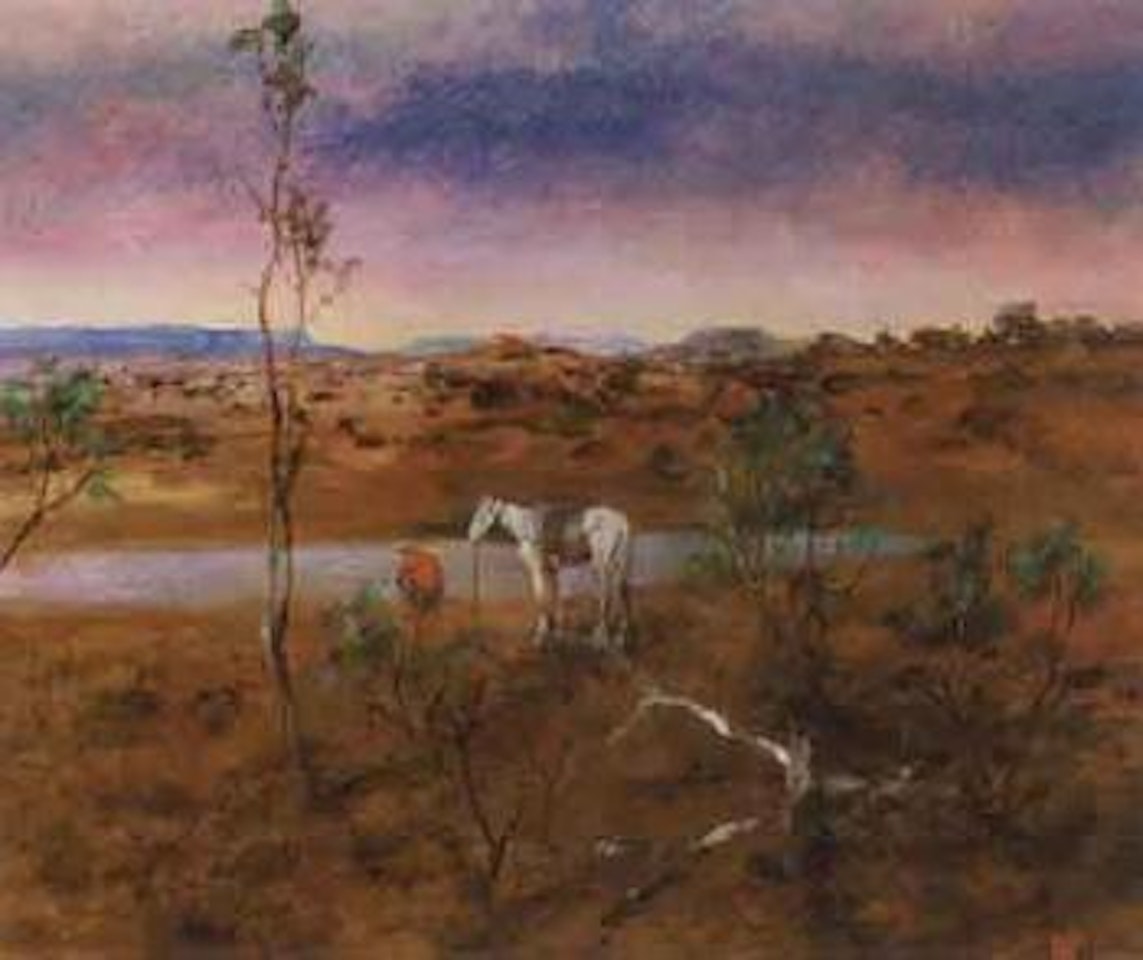 Charlie Ferguson's grey gelding, Springvale Station, W Queensland by Hugh Sawrey