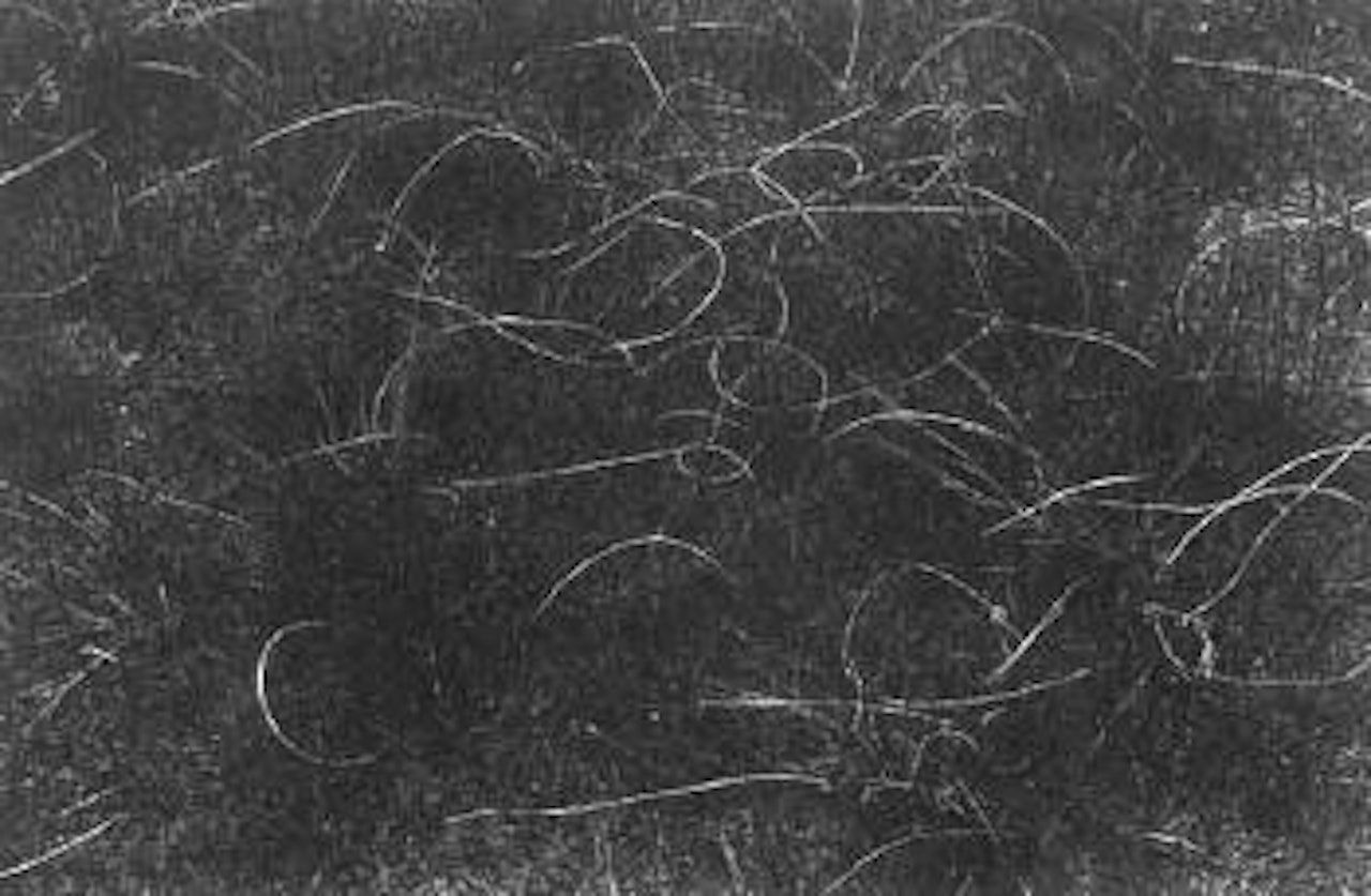 Grasses, Wisconsin by Harry Callahan