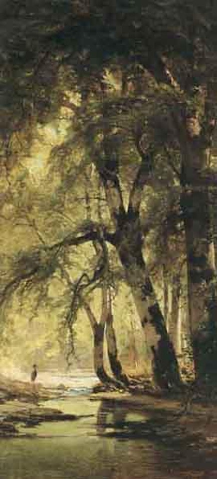 Bird near the edge of a forest stream by Thomas Hill