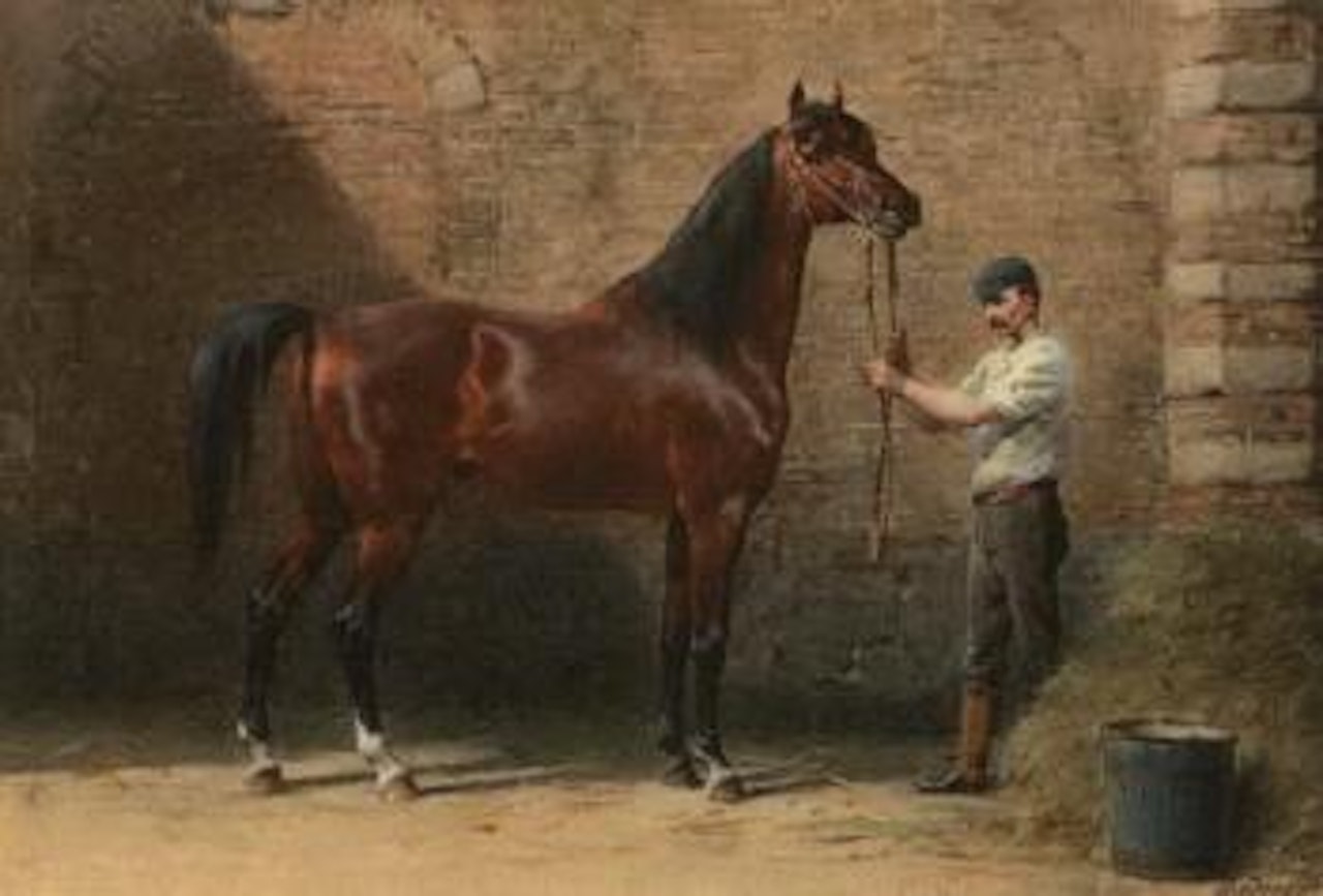 Portrait of an Arab horse by Otto Eerelman