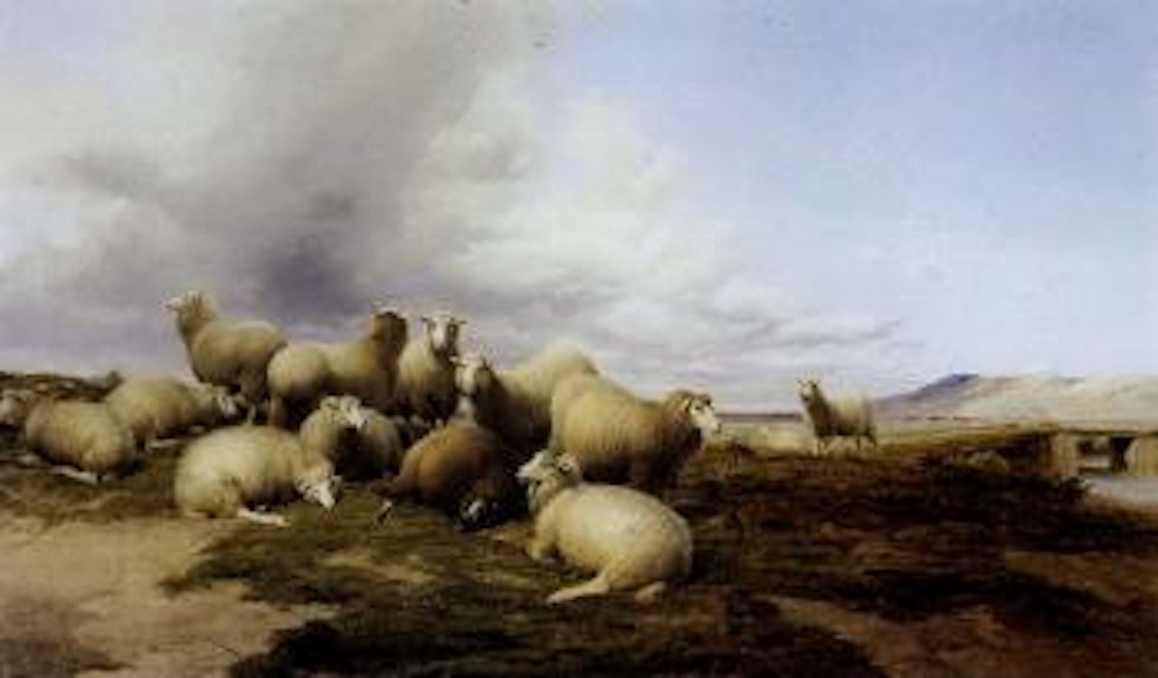 Flock of sheep resting in the meadow by Thomas Sidney Cooper