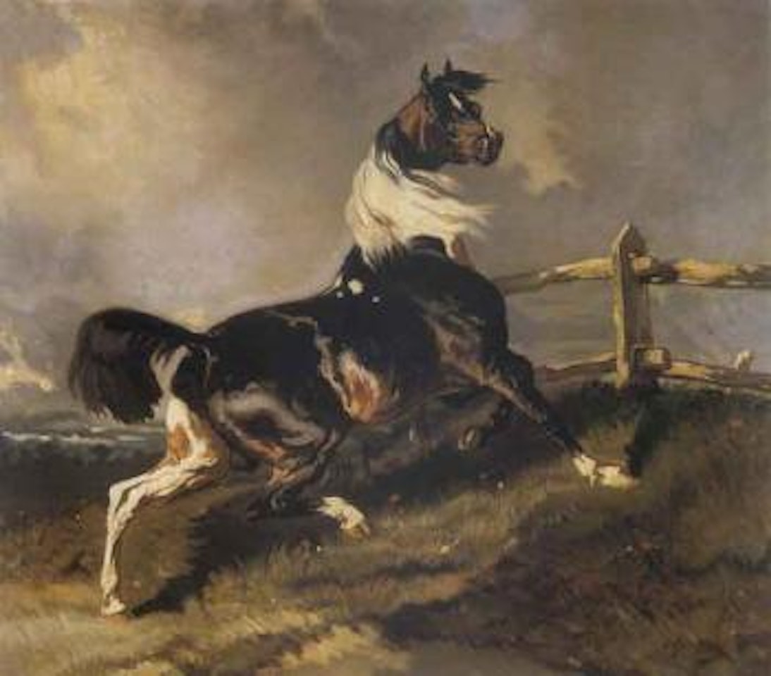 Skewbald stallion by Alfred de Dreux