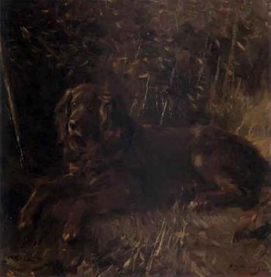 Lark II, a red setter by Alfred James Munnings