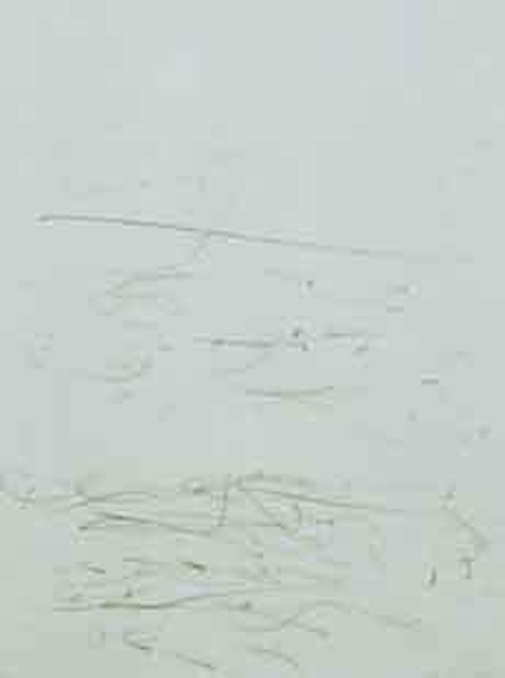 Oaia by Colin Mccahon