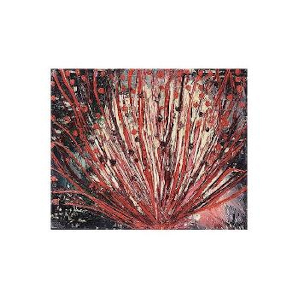 Red flower by Thanos Tsingos