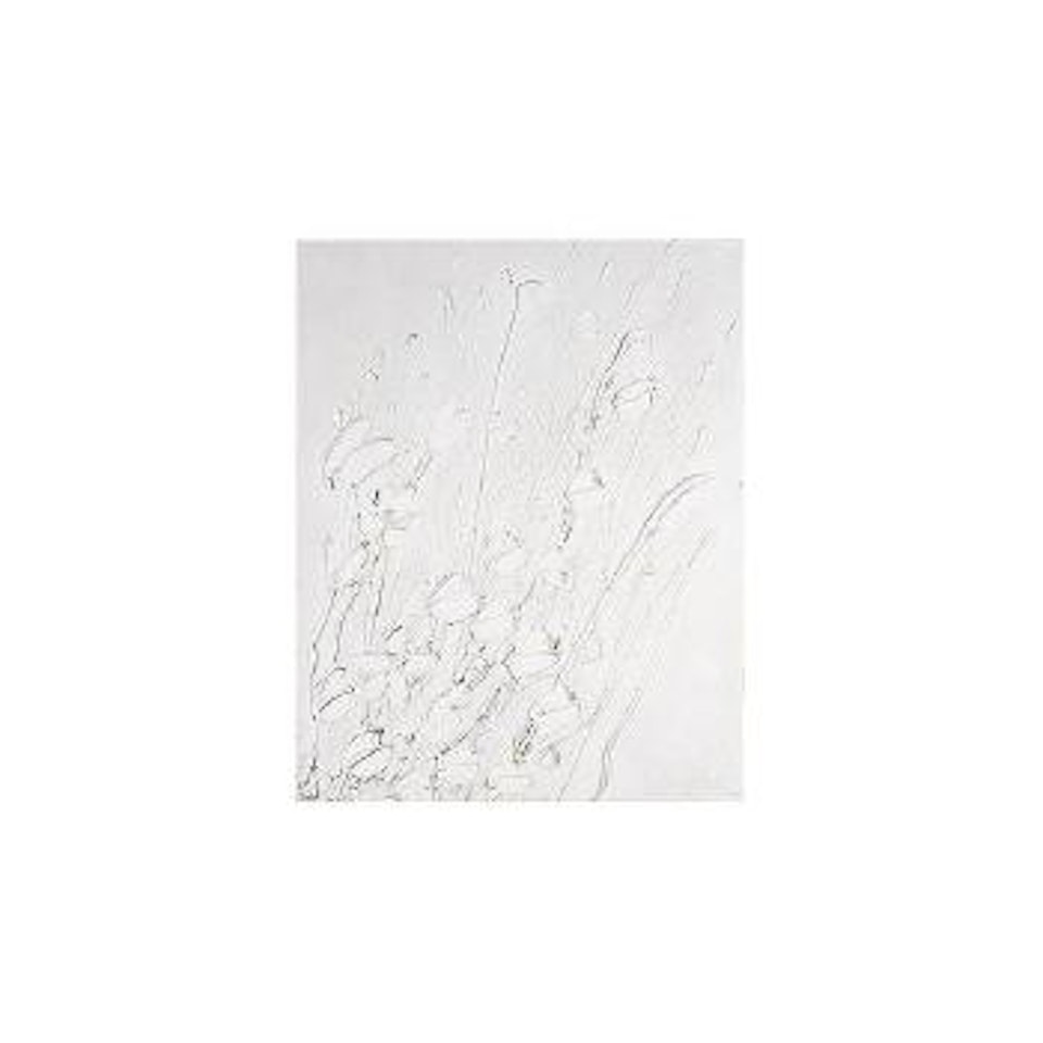 White flowers by Thanos Tsingos