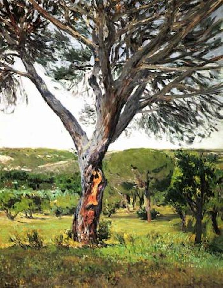 Pinos del Plantio de los Infantes by Aureliano de Beruete
