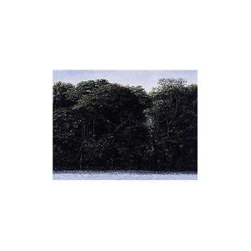 Orilla con meditador - River bank with hermit by Tomas Sanchez