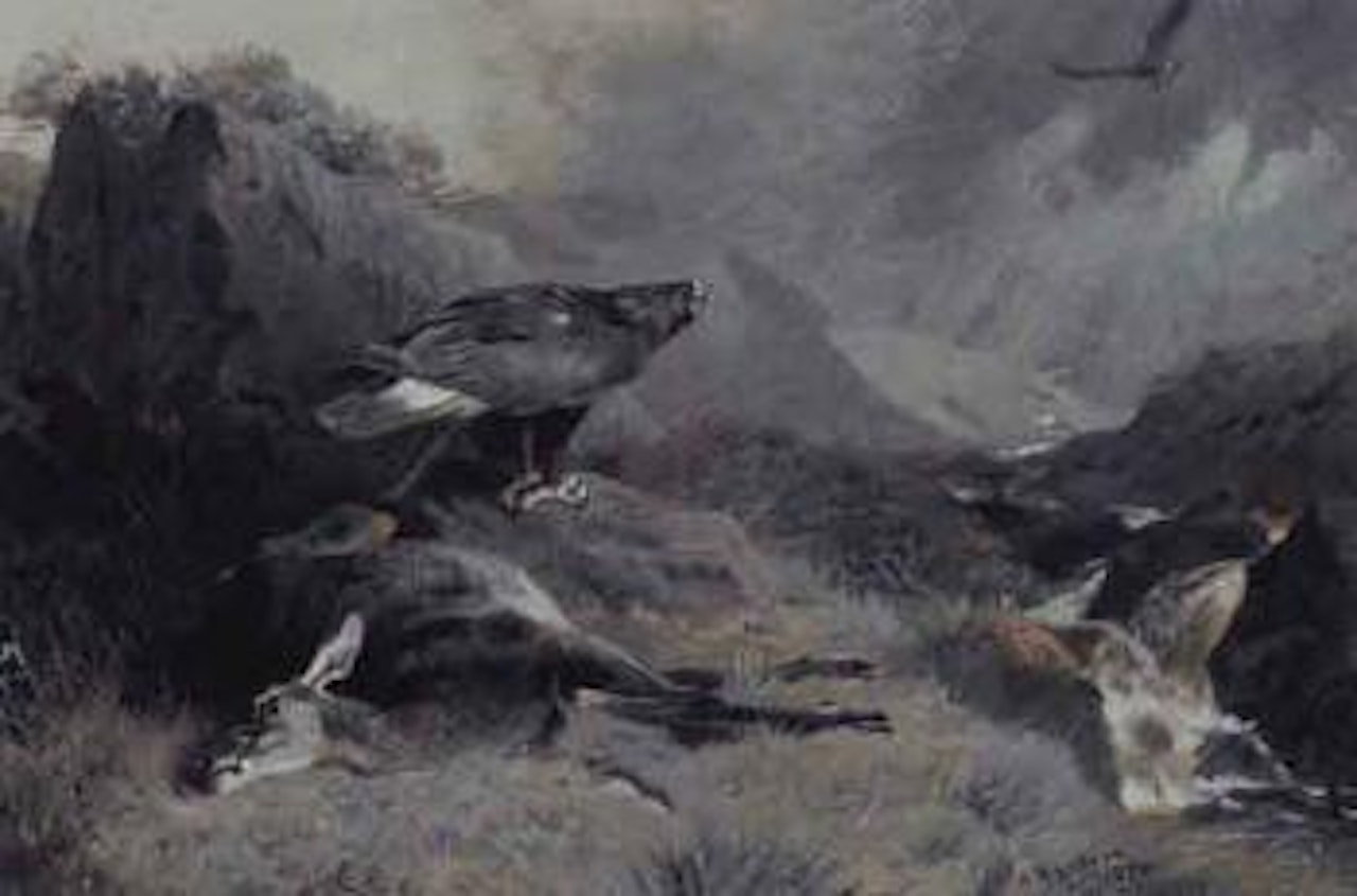 Dead Hind by Archibald Thorburn