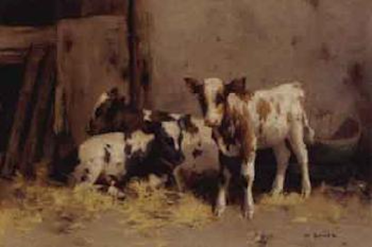 Three Ayrshire Calves by David Gauld
