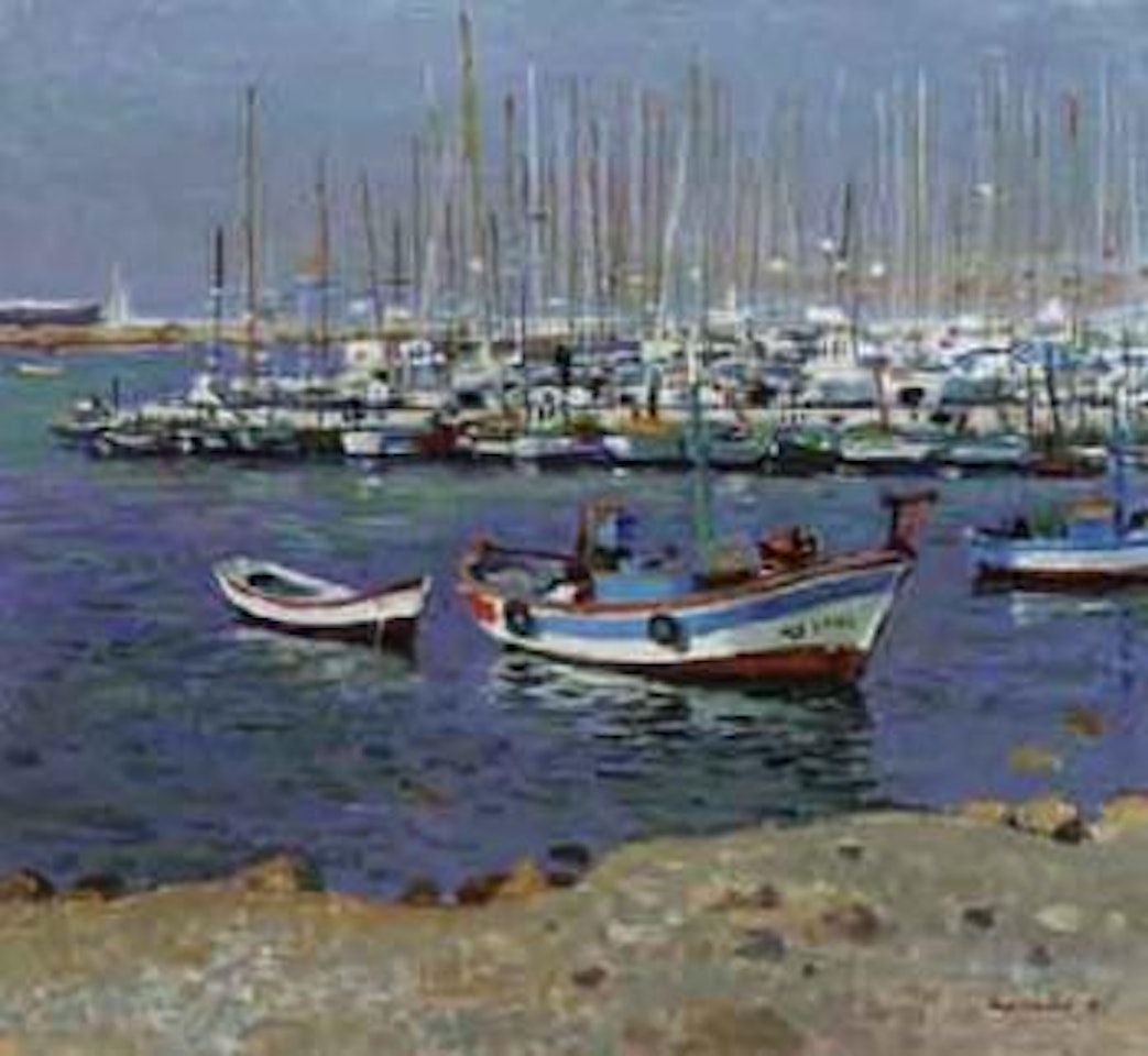 Marina, Estepona, Spain by Alberto Morrocco
