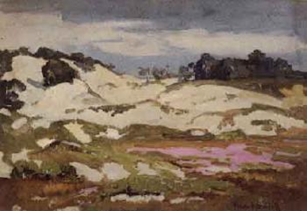 Blooming dunes by Franz A Bischoff