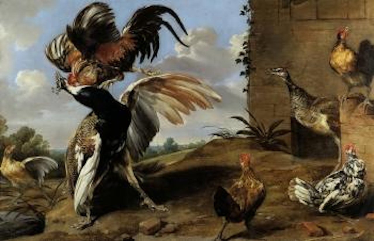 Combat de volatiles dans une cour de ferme by Paul de Vos