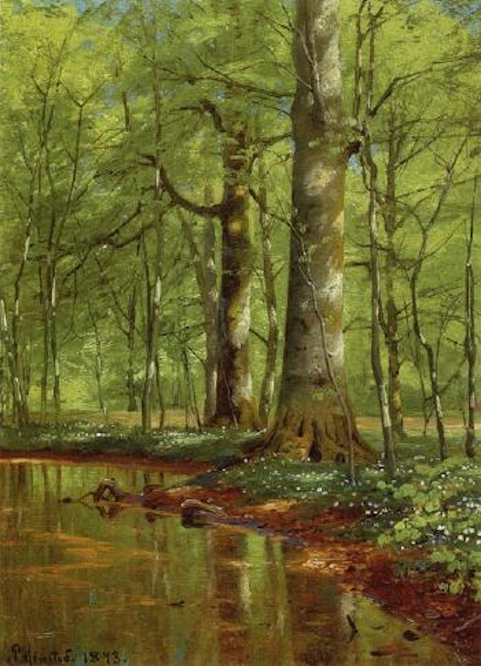 Woodland with beechtrees and wood anemones by river by Peder Mork Monsted