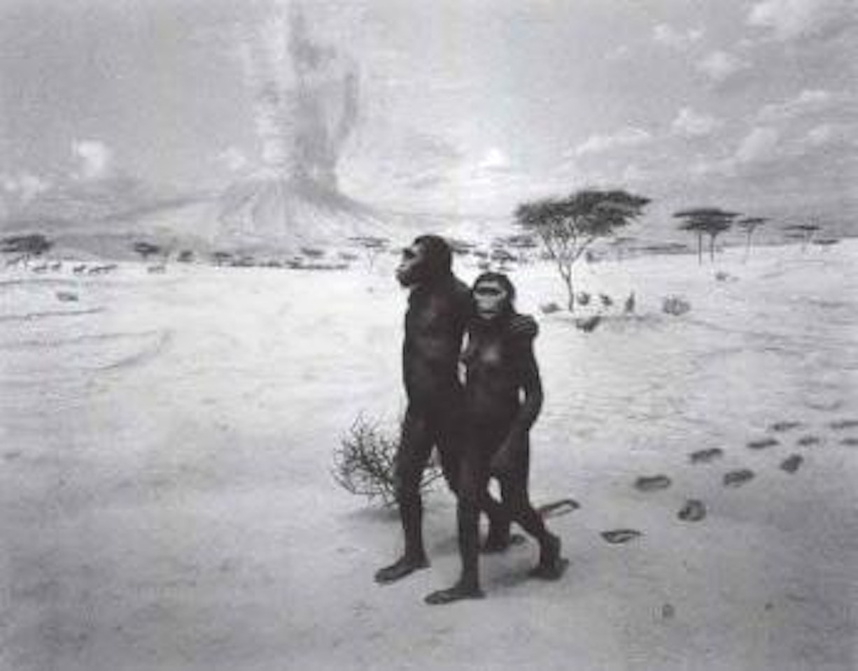 Earliest human relatives by Hiroshi Sugimoto