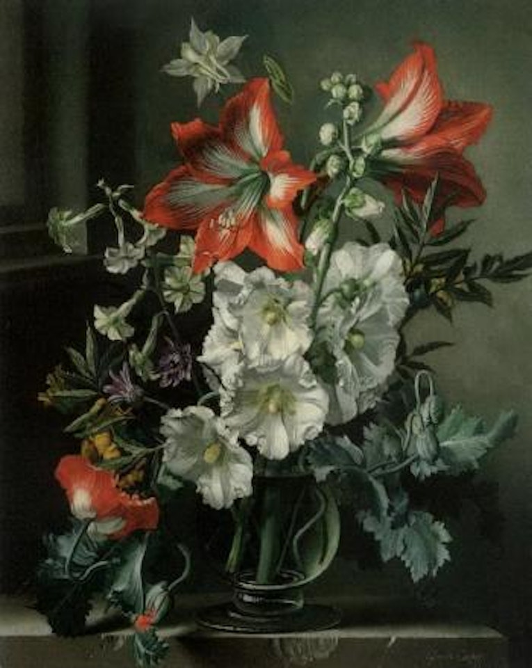 Amaryllis by Gerald Cooper